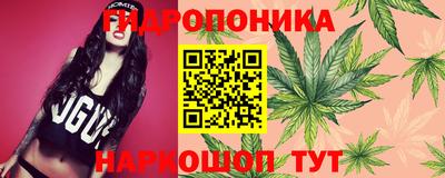 бошки Славгород