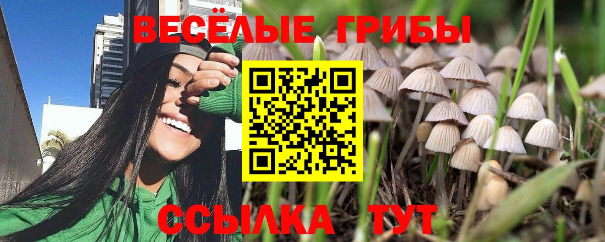 Галлюциногенные грибы прущие грибы  Вход с VPN  Новочебоксарск 