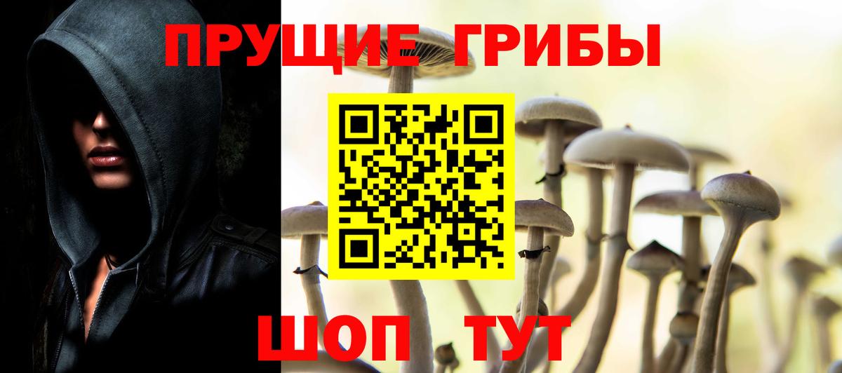 Псилоцибиновые грибы мухоморы Новочебоксарск